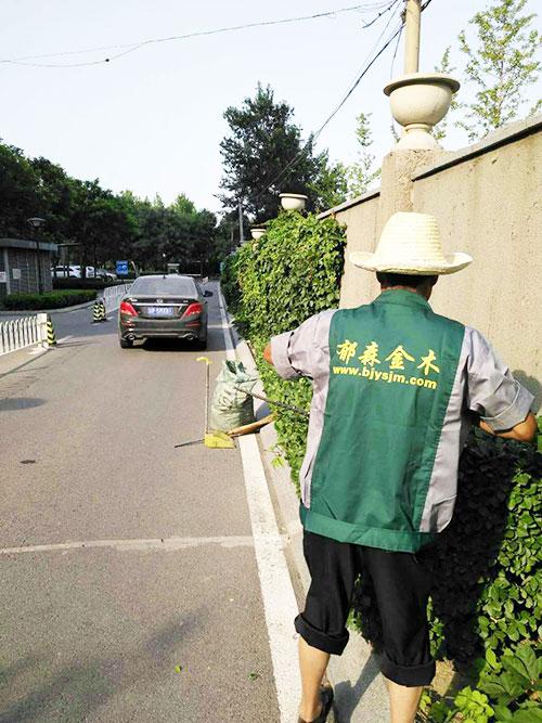 廠區(qū)養(yǎng)護(hù)
